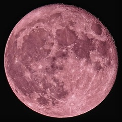 708736