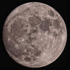 729730