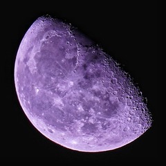 710445