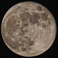 681223
