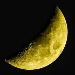 726891