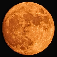729731