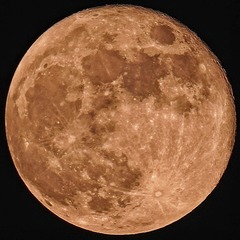 681218
