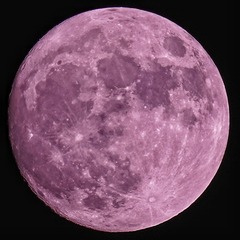 729727