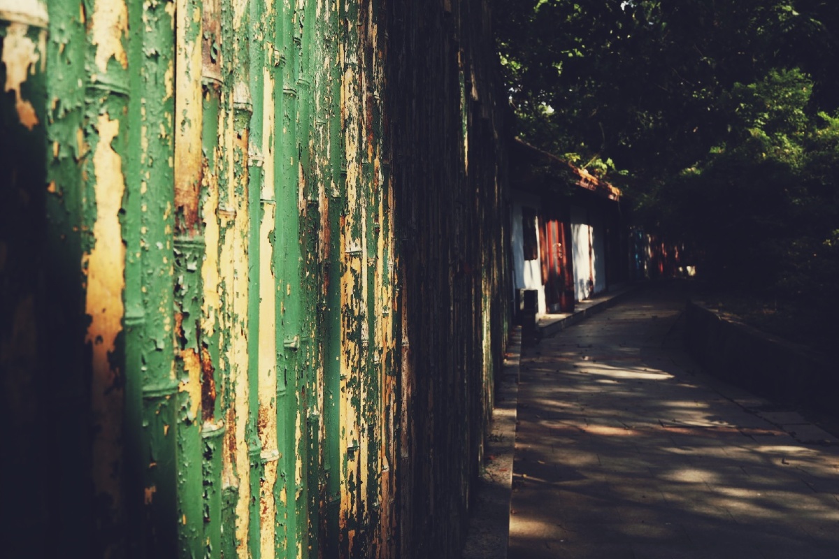 斑驳陆离似乎还看到生机