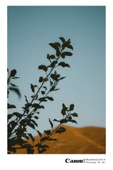 A30BC9F8-80D9-42D9-B1F7-DF115563212E/L0/001