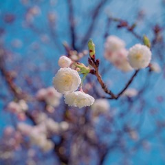 179094EC-6C26-4B91-A7A0-52EE0B3AC467/L0/001