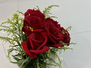 B5E0602F-7A20-445C-9E30-FE8BAB4F8040/L0/001