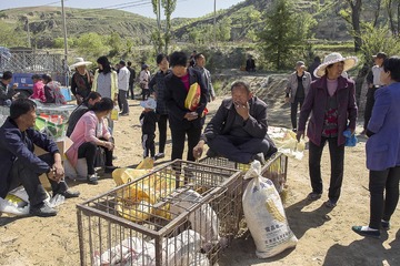 IMG_9280-1