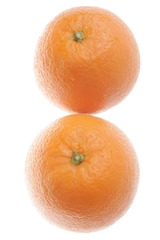 29513