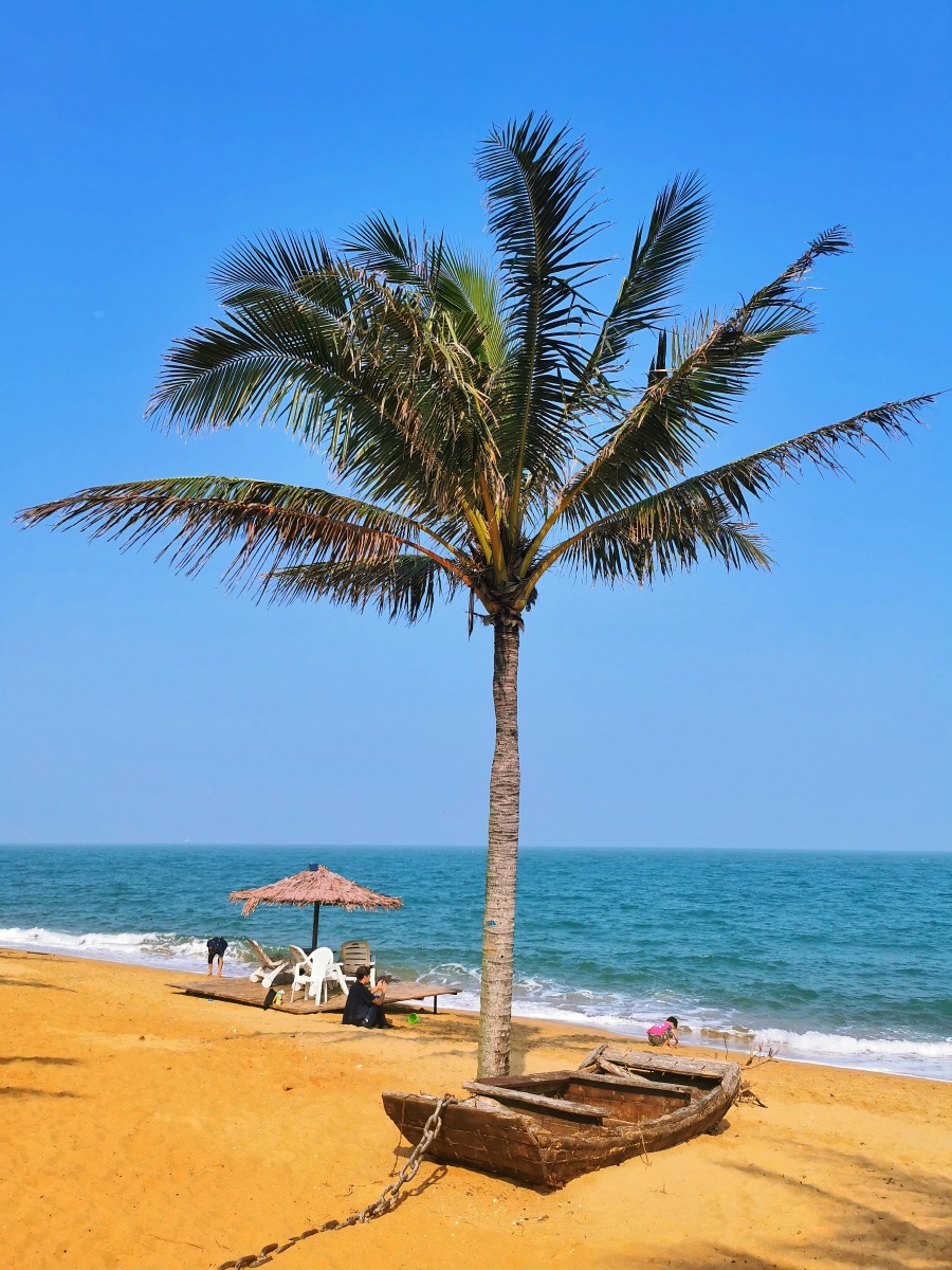 海南海口的冬天碧海蓝天椰风海韵心旷神怡