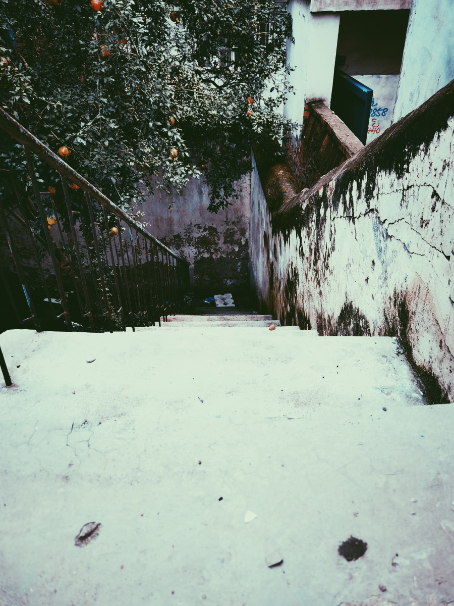 老院子里的景色华为p40原相机加修图拍的不好随便看看吧