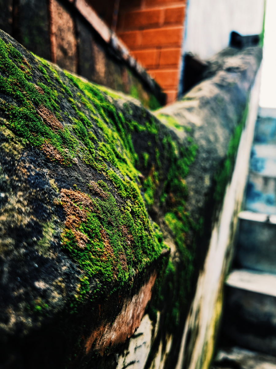 老院子里的景色华为p40原相机加修图拍的不好随便看看吧