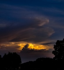 16065