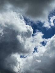 1000106731