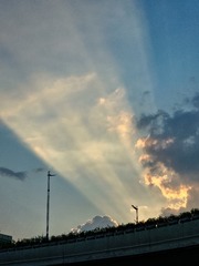 1000017073