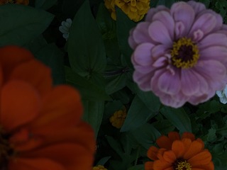 4C8115D6-A824-4B1A-8510-83A1C1BAA0DB/L0/001