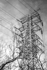 DP3M1637