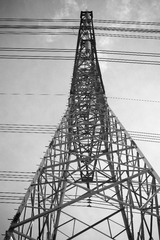 DP3M1636