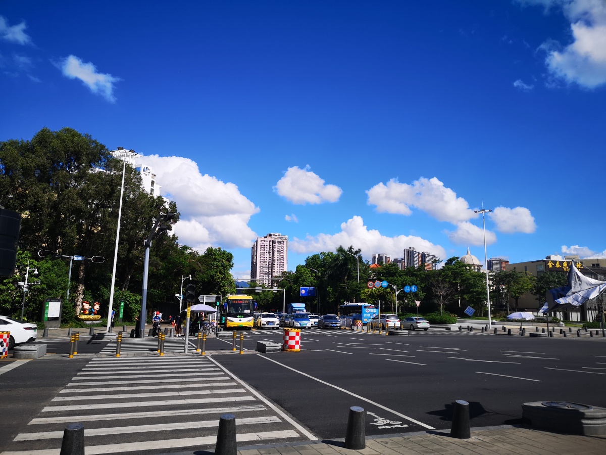 夏日街景下的悠闲