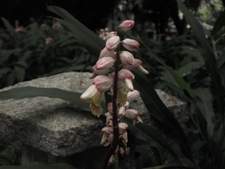 CF7F4B49-80E9-4F7A-B720-63B898D59452/L0/001