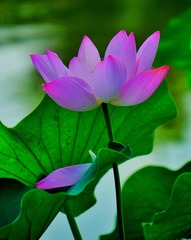 F690B9CE-7A2A-4E1C-BE8E-08DF63DB26FD/L0/001