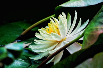 2B607AA1-8AE6-45D8-9901-16A35EEA0B89/L0/001