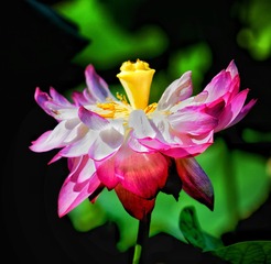 1E71790D-5963-4768-9D99-A26B697EC2C7/L0/001