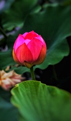 93CC0B07-E99F-4E36-B108-BC896E83EDAE/L0/001