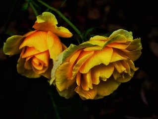 D7B35364-0695-496F-9B23-2705771F75E4/L0/001