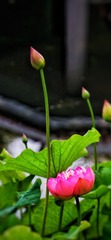 92D12150-CC72-4611-8FF1-27CFA974E879/L0/001