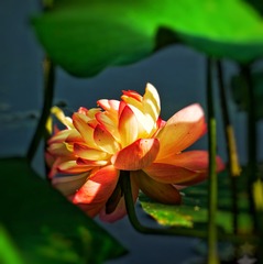 F1D67575-4FD1-4A04-9BE2-E111A385C11B/L0/001