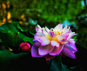 8A695265-7E77-4B59-A968-A0C233D5E268/L0/001