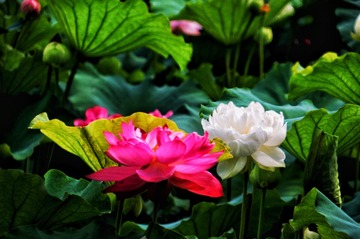 92591607-D7B6-4BBB-BC2F-E82F3A825CEA/L0/001