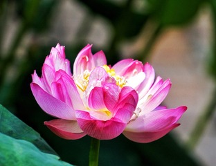 AE9DCD33-DD61-42D0-8F0C-69F3508536FE/L0/001