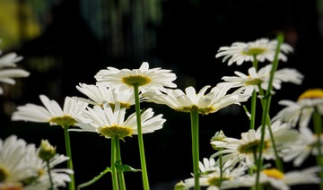 2F230075-C01E-4198-A442-4CF350172025/L0/001