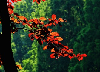 1105FD3D-4983-4B1A-A185-FD95D9102576/L0/001