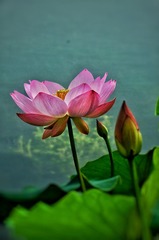 FE7AB412-8A5B-4154-8BD4-84780C15ED3B/L0/001