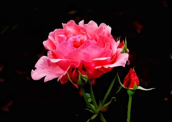 1F16DBA6-6C68-4508-8930-4C83CA194FC7/L0/001