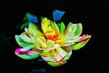 03F639F6-B256-487C-8903-2DC63F888287/L0/001