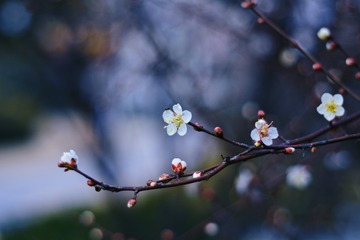 001