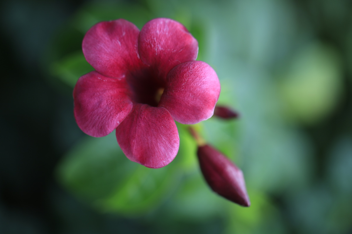 中国海南海花岛原片直出