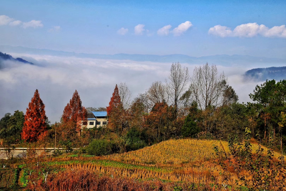 只在此山中 云深不知处 - 眉黛青山