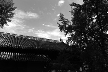 F84CED3C-D429-46A5-97CE-6F445AE15F8C/L0/001