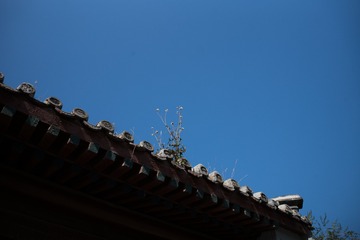 8DFCCE80-2E42-4D3F-A853-B589F5532B30/L0/001
