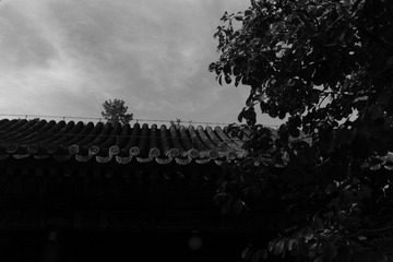 D77641C3-B700-4C1F-8D9B-E9E31C59D0E9/L0/001