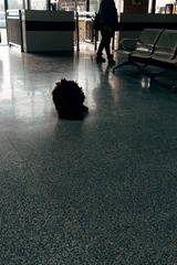 4458330