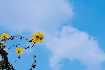 16801