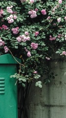 AE784A66-F236-48F7-B50C-2F69B6A1DE91/L0/001
