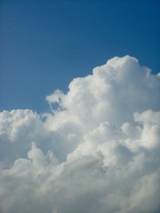 F5C63216-FAD4-454C-9691-527C754638D2/L0/001